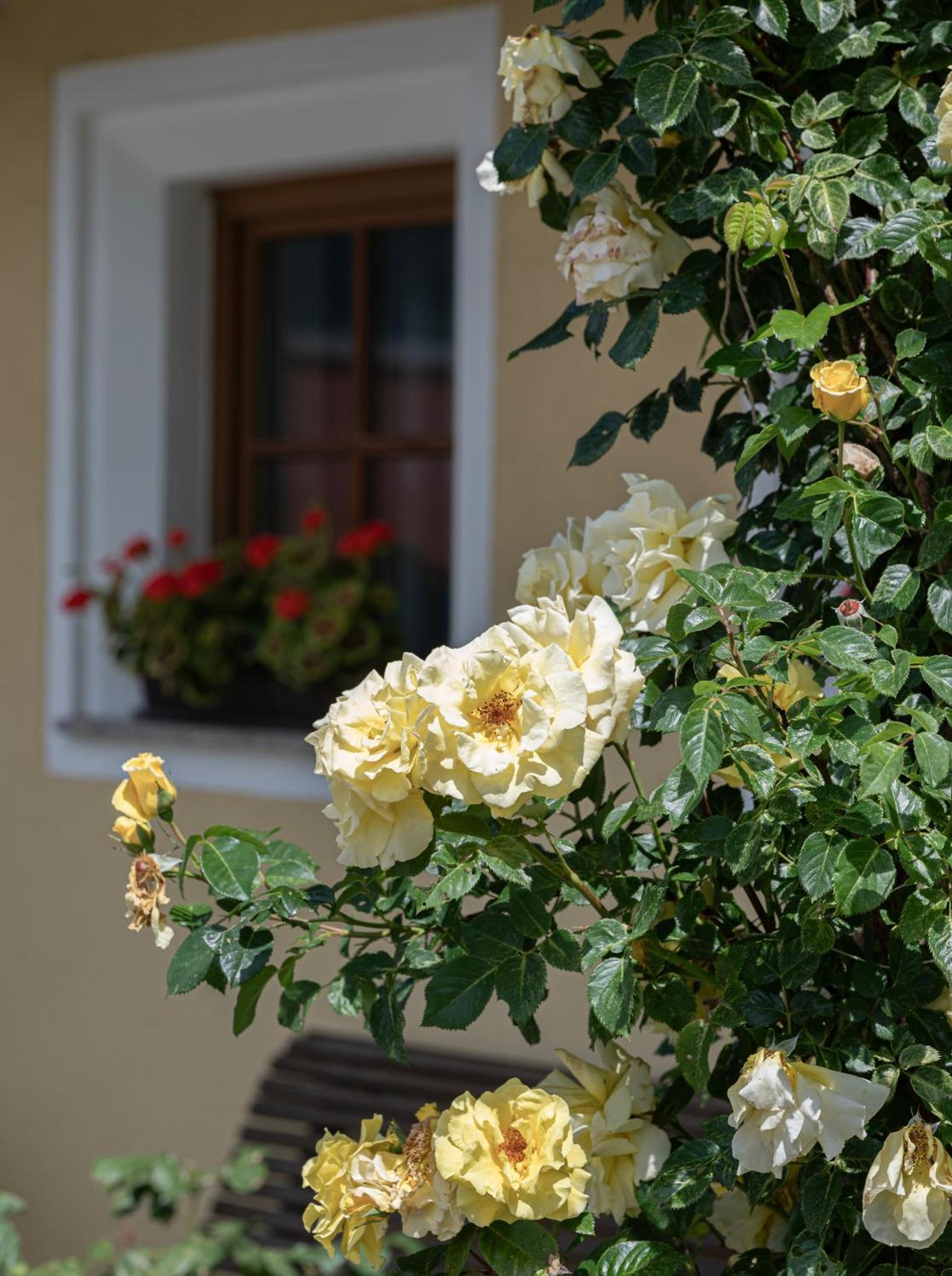 Zederberg Appartements Sankt Johann im Pongau Exterior photo